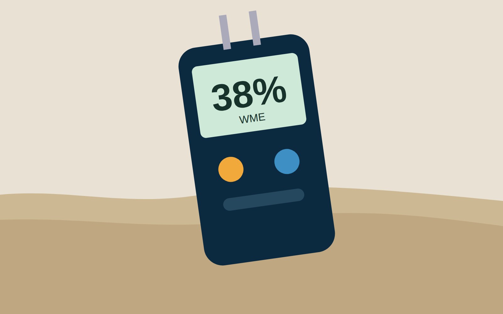 Moisture meter displaying 38% WME reading, inserted into sandy soil during inspection