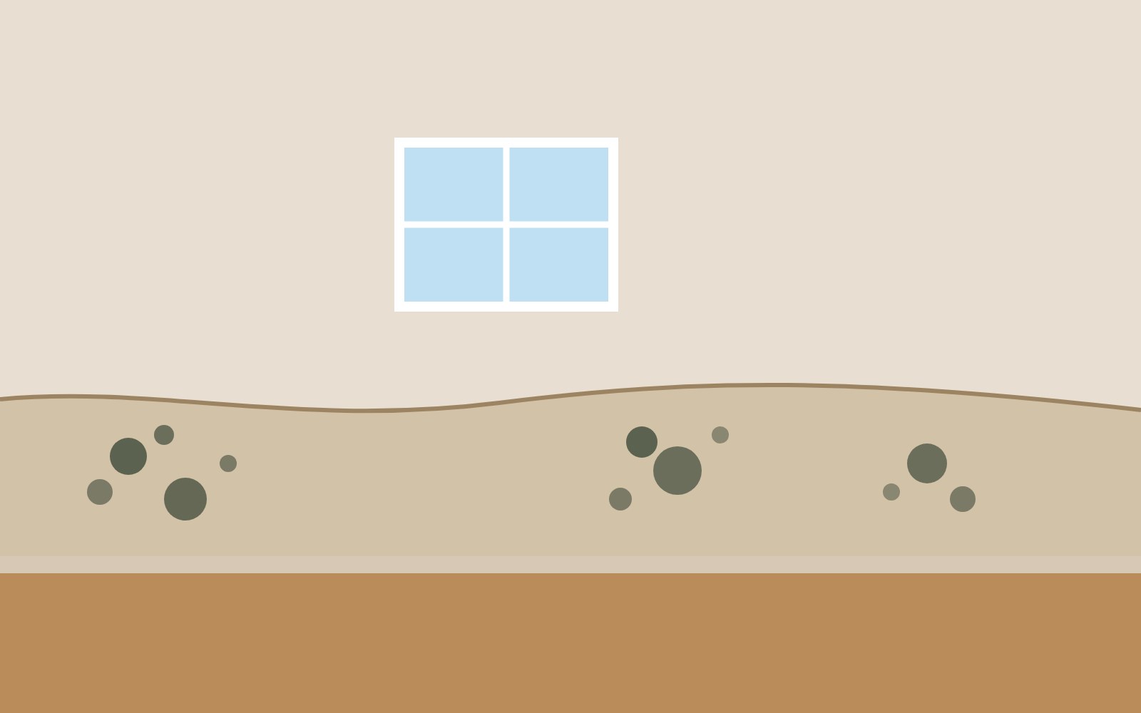 Illustration of mold spots growing on a damp wall near the baseboard, with a window above